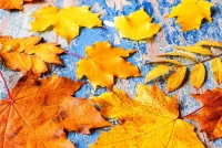 Пазл Жёлтые на голубом