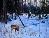 Пазл Зима в лесу