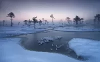 Пазл Зимнее болото