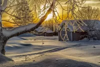 Пазл Зимнее солнце