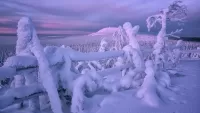 Пазл Зимние сумерки