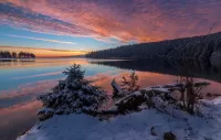 Пазл Зимние сумерки