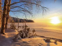 Пазл Зимним днем