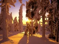 Пазл Зимний закат