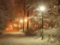 Пазл Зимняя аллея