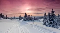 Пазл Зимняя дорога