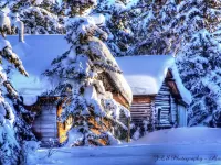 Пазл Зимушка зима