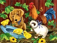 Пазл Знакомство 