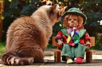 Пазл Знакомство