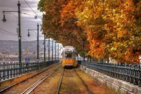 Пазл Золотая осень 