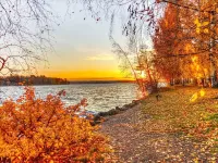 Пазл Золотая осень 