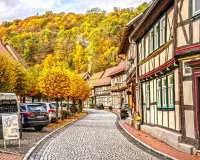 Пазл Золотая осень