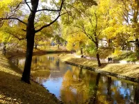 Пазл Золотая река
