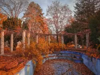 Пазл Золото осени 