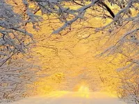 Пазл Золото рассвета